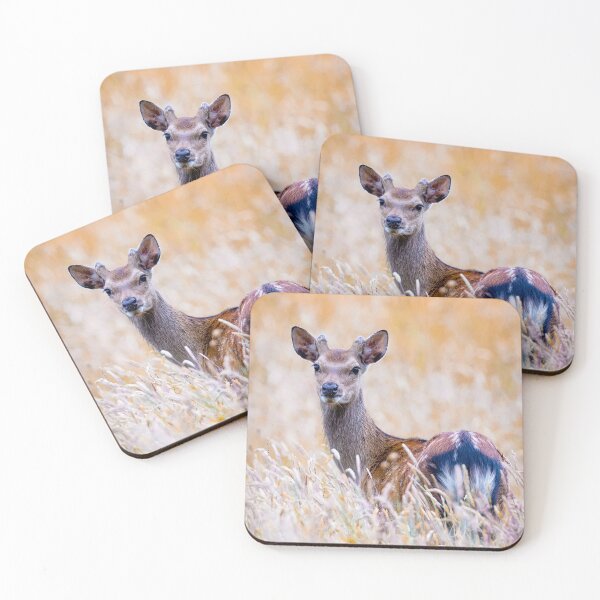 Item preview, Young Sika deer Buck  designed and sold by Dalyndigital Photography.