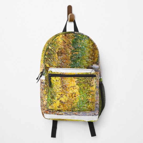 Item preview, a path covered with leaves in an autumn park designed and sold by goceris.