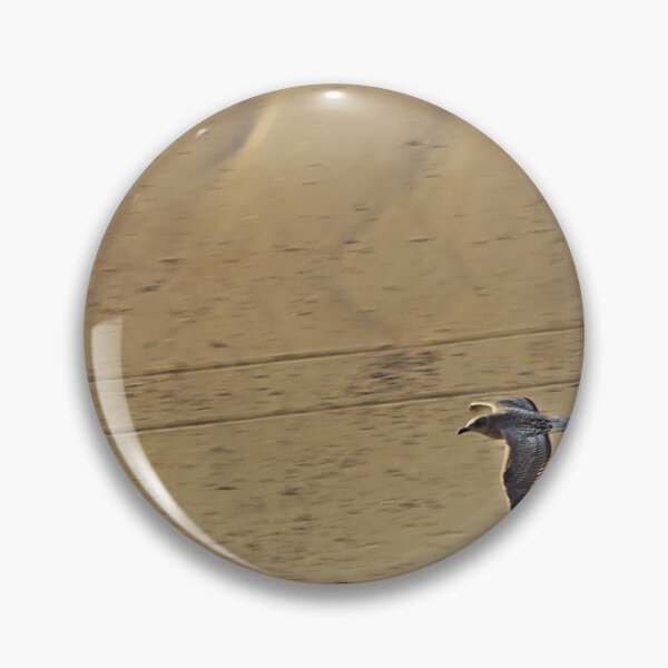 Item preview, Seagull Flying Low over the Beach designed and sold by Jeremy Hayden.