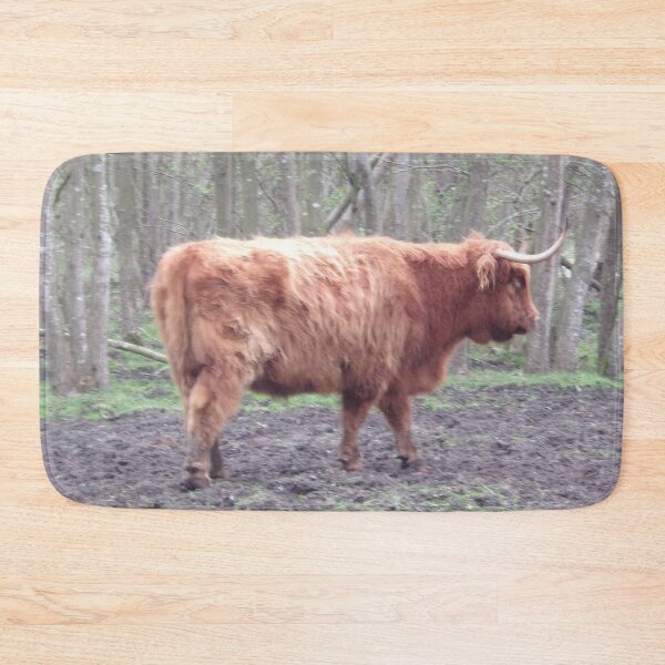 Item preview, Scottish Highland cattle designed and sold by CreativeWorld96.