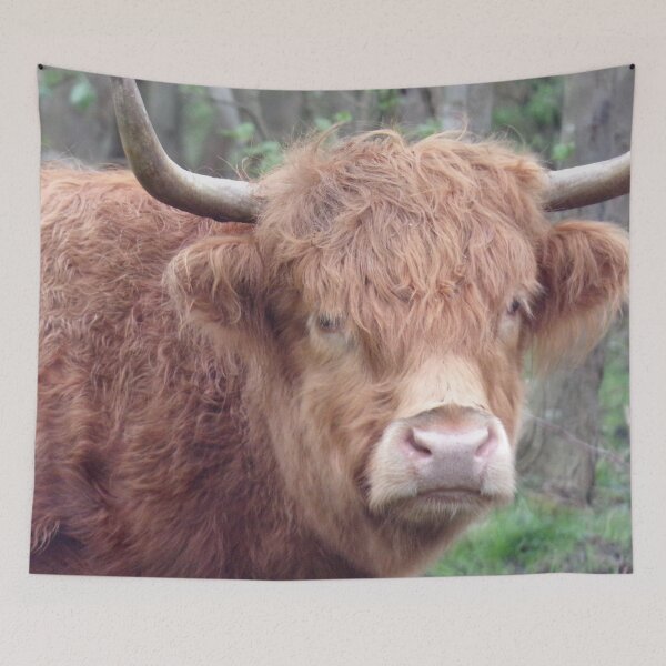 Item preview, Scottish Highland cattle designed and sold by CreativeWorld96.