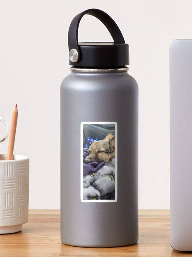 Thumbnail 1 of 3, Sticker, Let sleeping dogs lie designed and sold by K-AEyston.