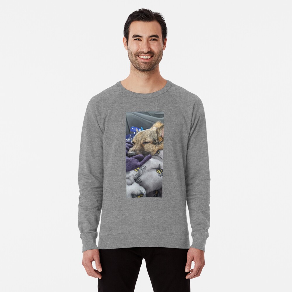 Item preview, Lightweight Sweatshirt designed and sold by K-AEyston.