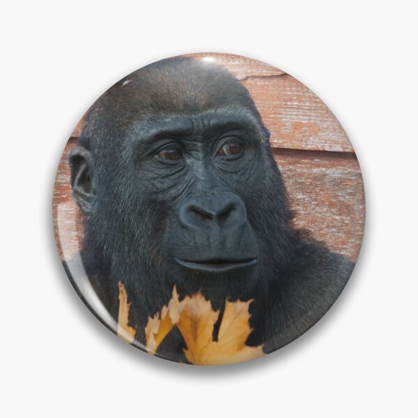 Item preview, Gorilla Shufai With With Autumn Leaves designed and sold by rawshutterbug.