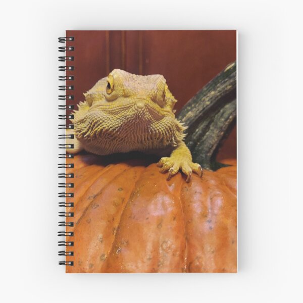 Item preview, Pumpkin Beardie designed and sold by foozma73.