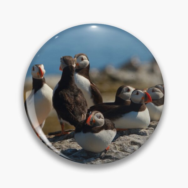 Item preview, Puffins loafing designed and sold by Jon Lees.