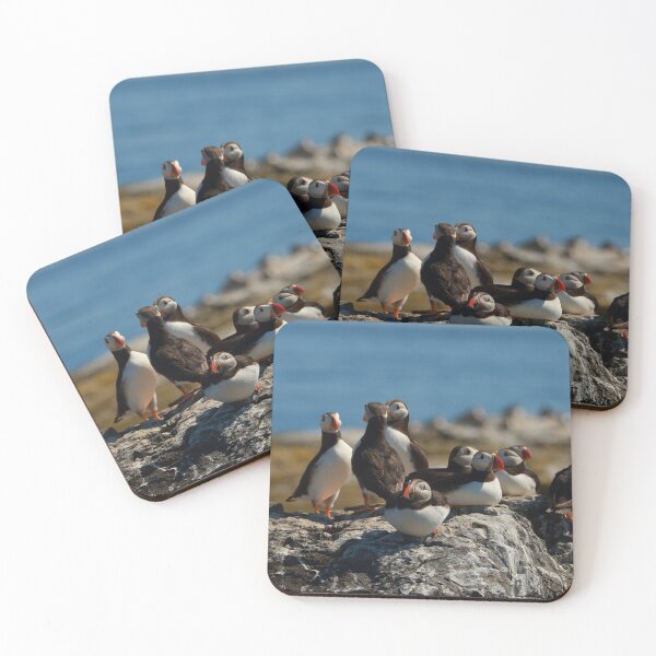 Item preview, Puffins loafing designed and sold by Jon Lees.