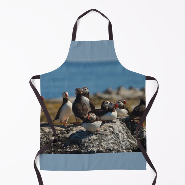 Item preview, Puffins loafing designed and sold by Jon Lees.