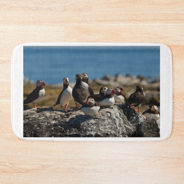 Item preview, Puffins loafing designed and sold by Jon Lees.