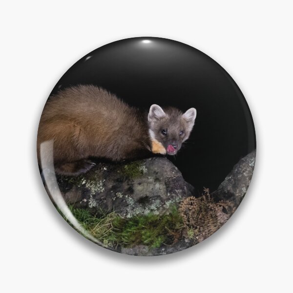 Item preview, Pine Marten designed and sold by Glenn Welch.