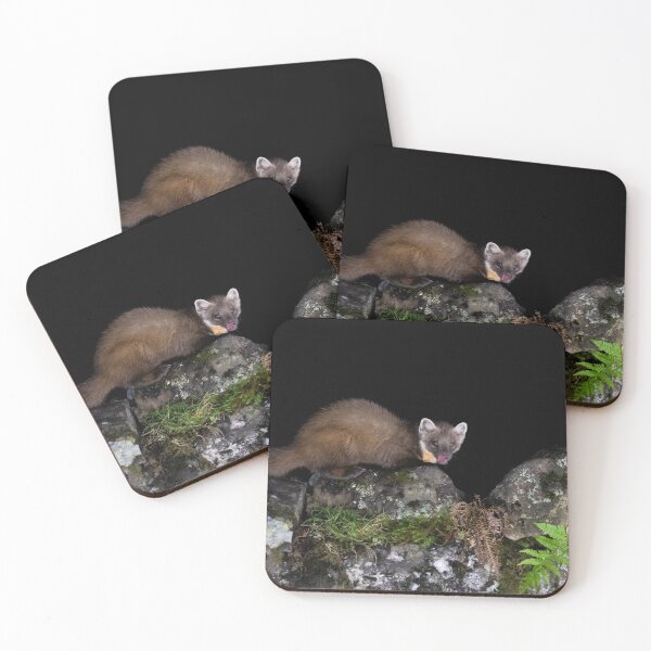 Item preview, Pine Marten designed and sold by Glenn Welch.