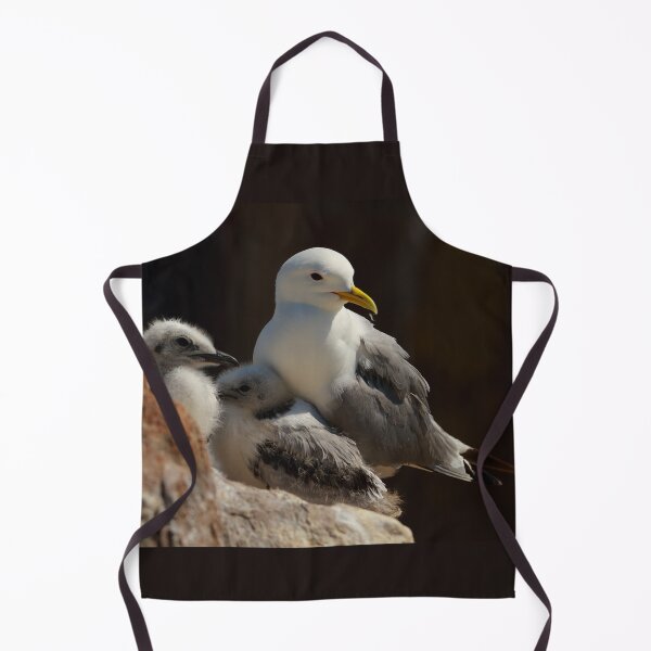 Item preview, Kittiwake at the nest designed and sold by Jon Lees.
