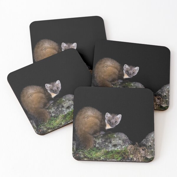 Item preview, Pine Marten designed and sold by Glenn Welch.