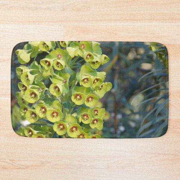Item preview, Aeonium Succulent  designed and sold by Naomi80.