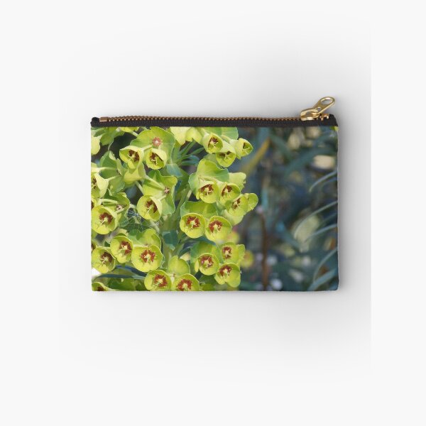 Item preview, Aeonium Succulent  designed and sold by Naomi80.
