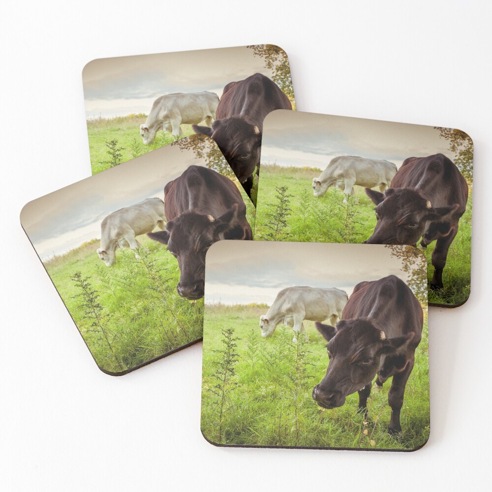 Item preview, Coasters (Set of 4) designed and sold by RJDowns.