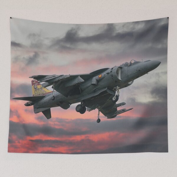 Item preview, Spanish AV-8B Harrier With Special Tail designed and sold by rawshutterbug.