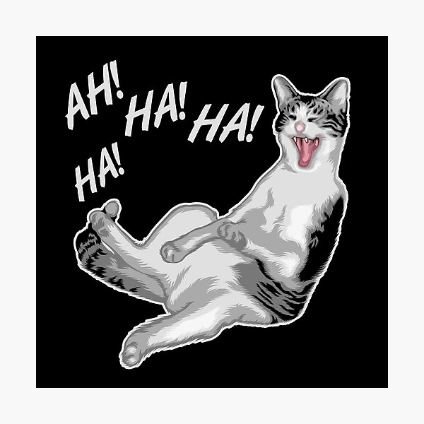 Laughing Cat Meme Photographic Print By Finestmeme Redbubble