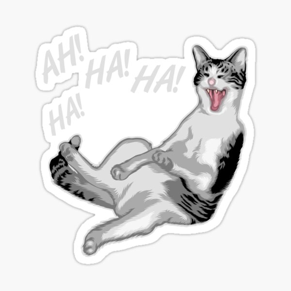 Pegatina «Riendo gato meme» de FinestMeme | Redbubble