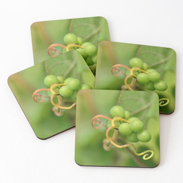 Item preview, Grapes and vine tendrils designed and sold by wineandwords.