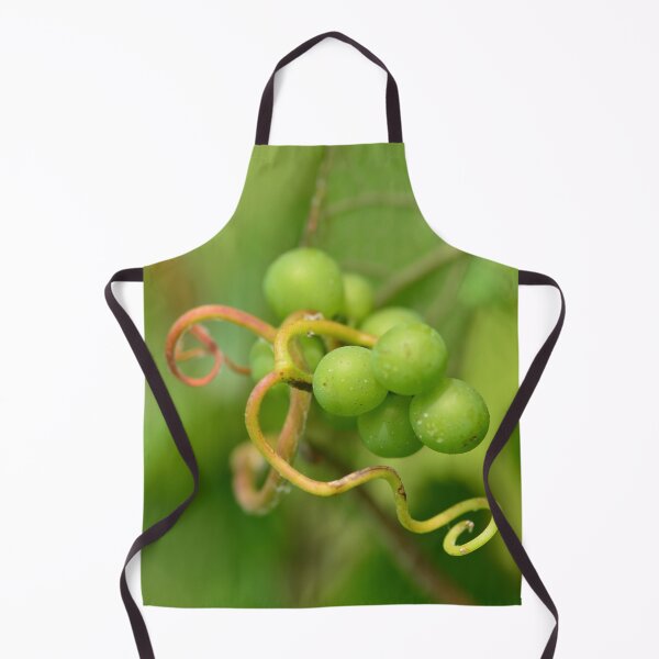Item preview, Grapes and vine tendrils designed and sold by wineandwords.