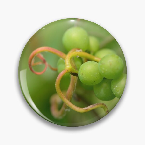 Item preview, Grapes and vine tendrils designed and sold by wineandwords.