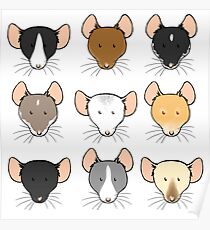 Ratty Faces Poster