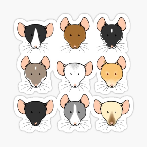 Ratty Faces Sticker