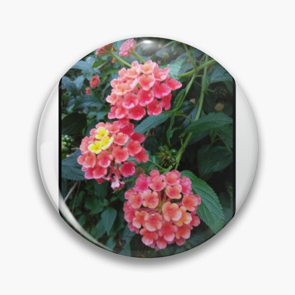 Item preview, Blooming flowers designed and sold by Deals Tobuy2020.