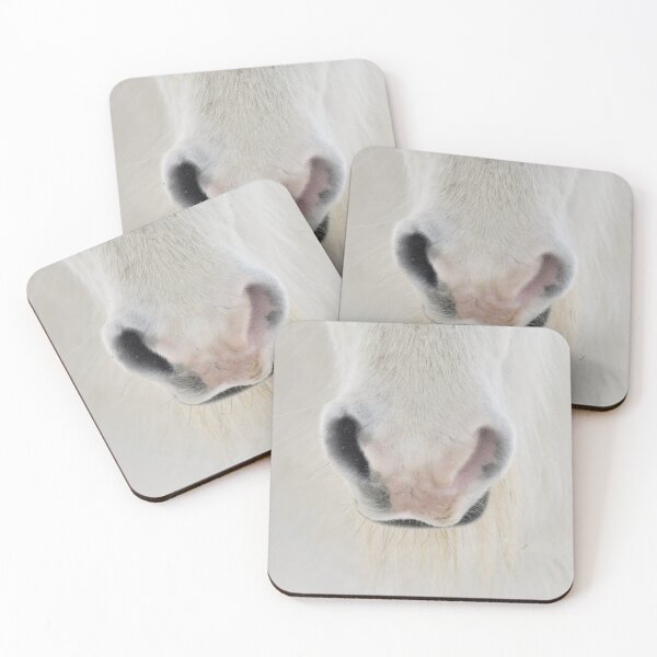 Item preview, White nose of an Icelandic horse designed and sold by elisainiceland.