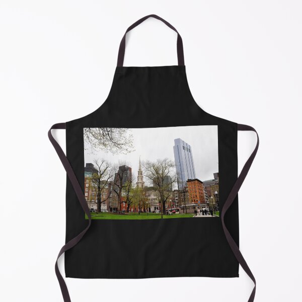 Item preview, Boston Skyline from The Common designed and sold by SLBigelow11.