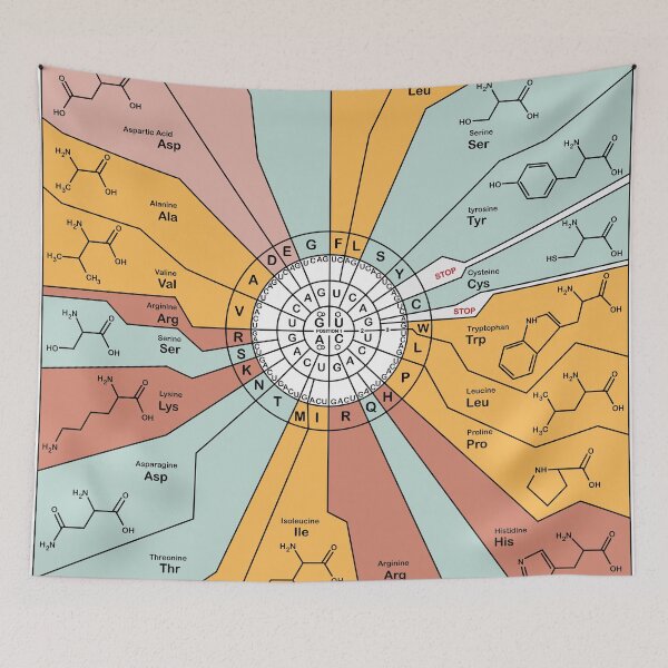 Item preview, Genetic Code Diagram designed and sold by jenscottiepow.