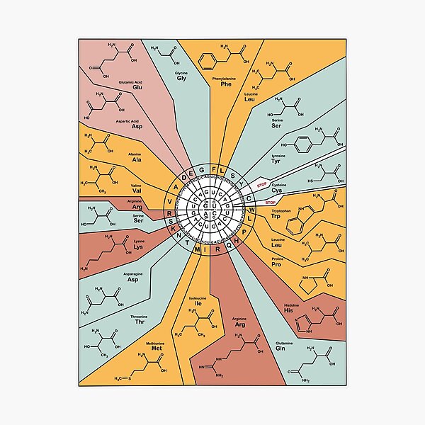 Item preview, Genetic Code Diagram designed and sold by jenscottiepow.