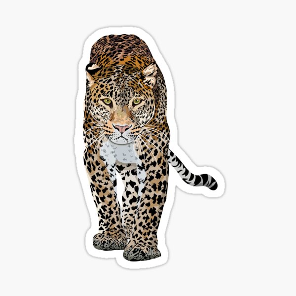 Leopard Fur Stickers for Sale