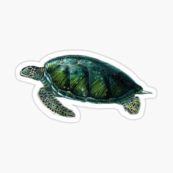 Sticker Ausgestorbene Tiere Redbubble