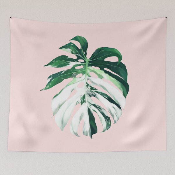 Item preview, Monstera Albo Borsigiana in Pink designed and sold by bignosework.