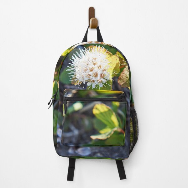 Item preview, "little beauties" designed and sold by Andreas Koerner.