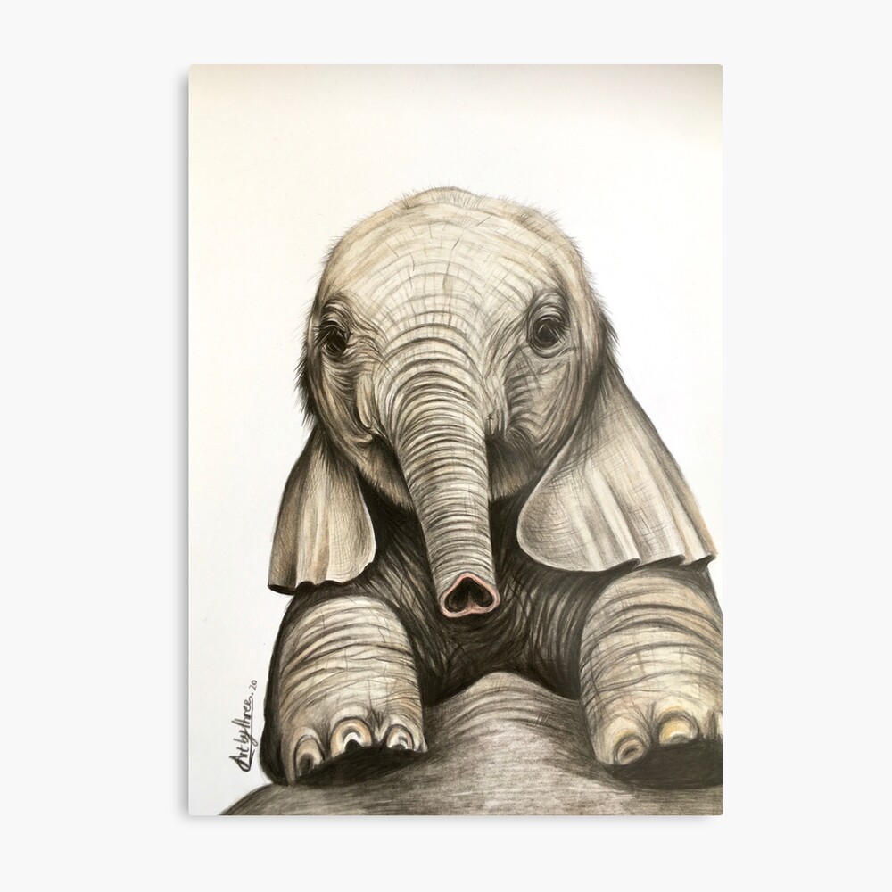 Premium Photo | Watercolor hand drawn cute small baby elephant