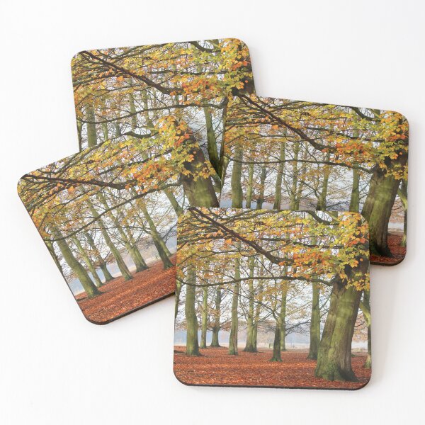 Item preview, Beech trees in autumn, Richmond Park  designed and sold by jmwilesphotos.