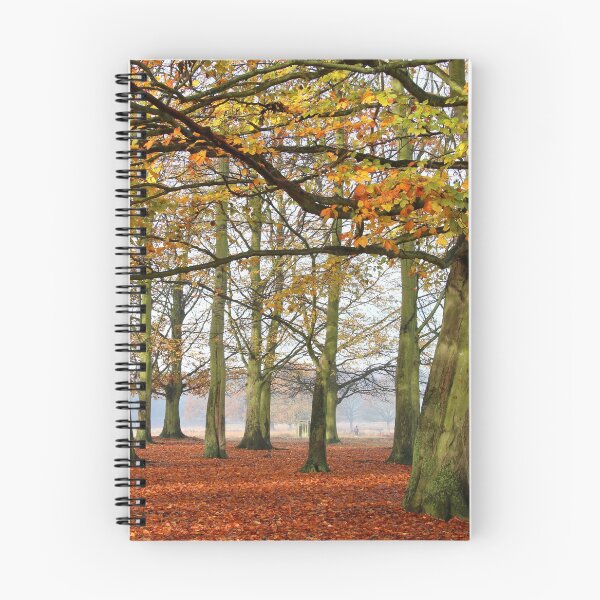Item preview, Beech trees in autumn, Richmond Park  designed and sold by jmwilesphotos.