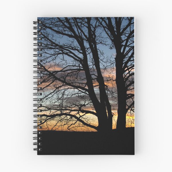 Item preview, Sunset behind a winter tree. designed and sold by sandyprints.