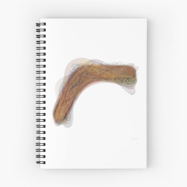 Item preview, Boomerang Overlay designed and sold by Steven Socha.