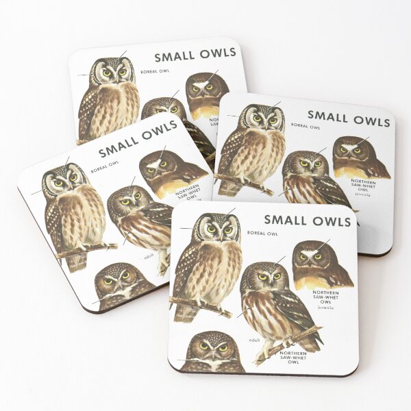 Item preview, Small Owls - Ornithology Owl Study designed and sold by elevens.