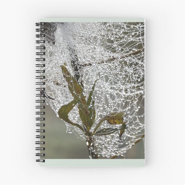 Item preview, Fairy light Cobweb designed and sold by pearlred.
