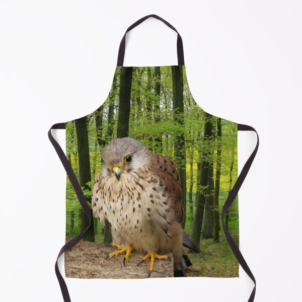 Item preview, Little hawk - wildlife photography designed and sold by MarionsArt.