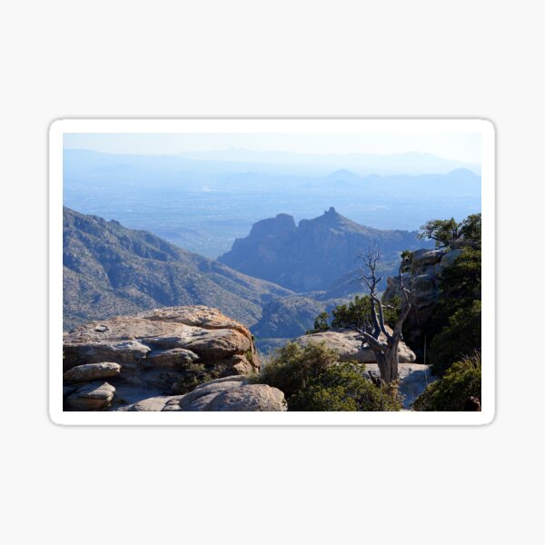 Mountain Vista Sticker