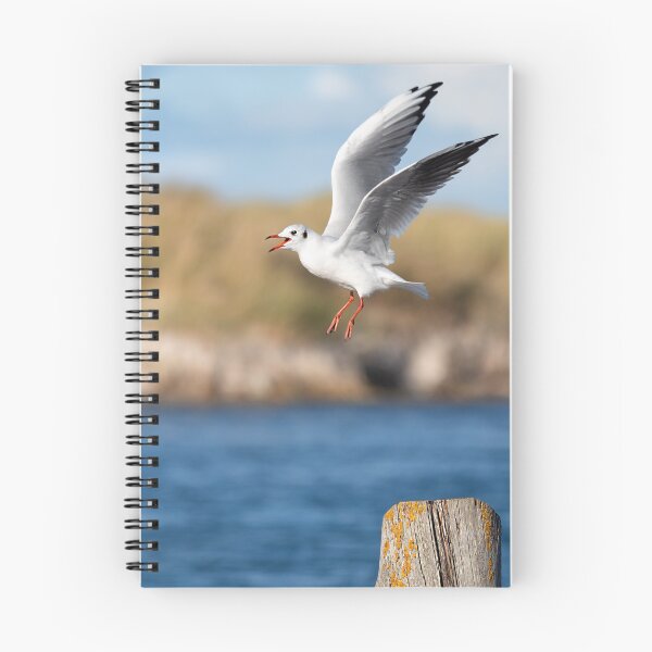 Item preview, At Darsser Ort designed and sold by boegau-photo.