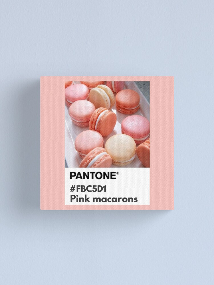 Pink macarons pantone colors  Canvas Print for Sale by softlycarol