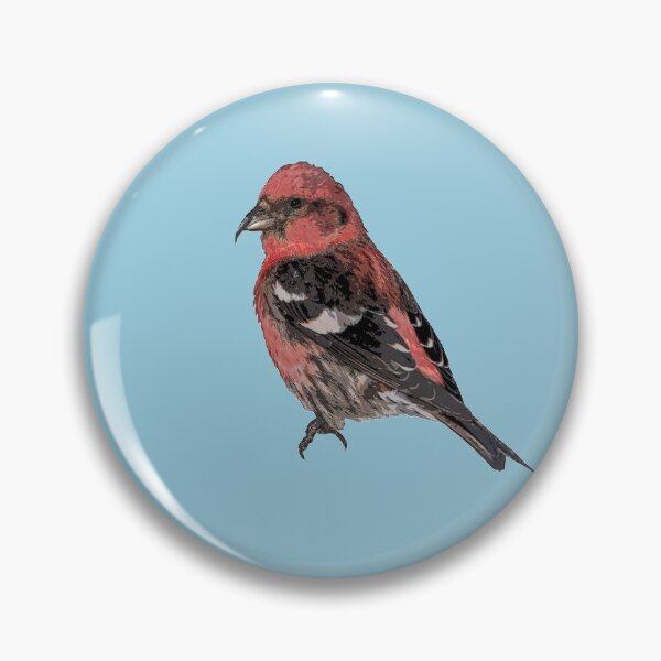 Item preview, White Winged Crossbill Color Print designed and sold by designsasstultd.