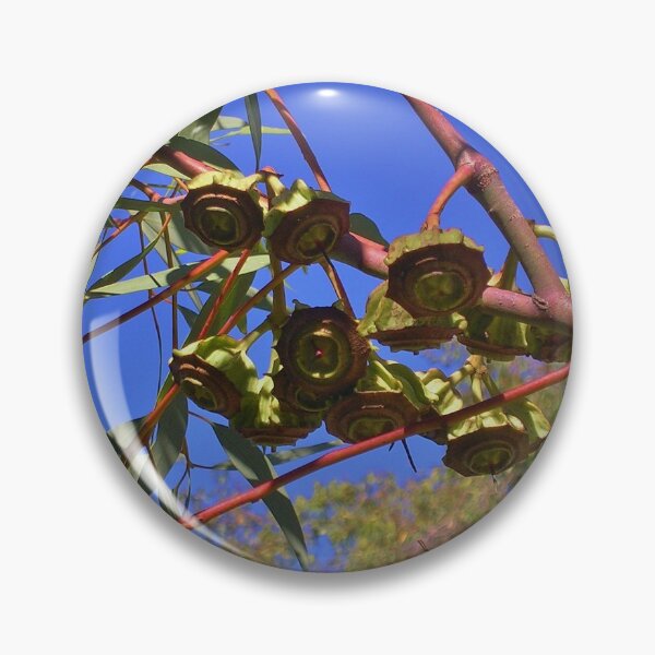 Item preview, Kingsmill Mallee Eucalyptus designed and sold by lezvee.